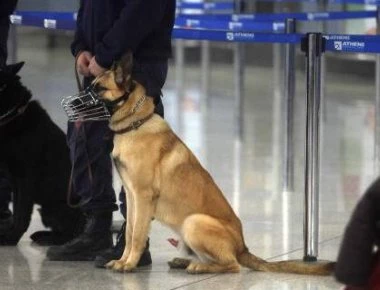 Σύλληψη Βραζιλιάνου για εισαγωγή κοκαΐνης στο «Ελευθέριος Βενιζέλος»